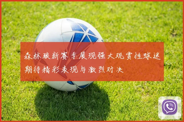 森林狼新赛季展现强大观赏性球迷期待精彩表现与激烈对决